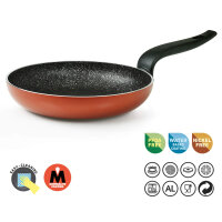 [PGFPS2050] FRYPAN 20CM H4,5 3,5MM PEPITA GRANIT A-Ware