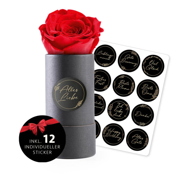 MyFlowers Infinity Rose 100% echte Rose rot/schwarz