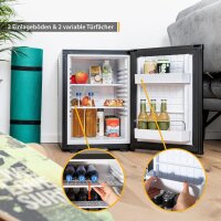 TZS First Austria Minik&uuml;hlschrank ohne Gefrierfach | Getr&auml;nkek&uuml;hlschrank lautlos | Minibar, wechselbarer T&uuml;ranschlag, LED-Beleuchtung | f&uuml;r Camping, B&uuml;ro & kleine Wohnungen