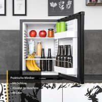TZS First Austria Minik&uuml;hlschrank ohne Gefrierfach | Getr&auml;nkek&uuml;hlschrank lautlos | Minibar, wechselbarer T&uuml;ranschlag, LED-Beleuchtung | f&uuml;r Camping, B&uuml;ro & kleine Wohnungen