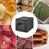 TZS First Austria D&ouml;rrautomat | D&ouml;rrger&auml;t f&uuml;r Obst, Kr&auml;uter, Pilze und Fleisch | 35-70 &deg;C, digital mit 24h-Timer | 5-6 Etagen, D&ouml;rrtablets aus Edelstahl oder Kunststoff, D&ouml;rrapparat mit Zeitschaltuhr