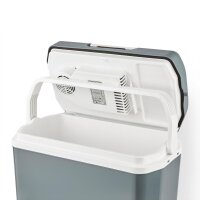 TZS First Austria tragbare elektrische K&uuml;hlbox, 24L, k&uuml;hlt und w&auml;rmt, Thermo-Elektrische K&uuml;hlbox 12 Volt und 230 Volt, f&uuml;r Auto und Camping, mobil, tragbarer Mini-K&uuml;hlschrank