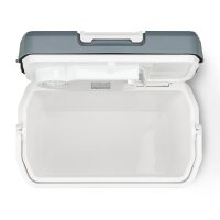 TZS First Austria tragbare elektrische K&uuml;hlbox, 24L, k&uuml;hlt und w&auml;rmt, Thermo-Elektrische K&uuml;hlbox 12 Volt und 230 Volt, f&uuml;r Auto und Camping, mobil, tragbarer Mini-K&uuml;hlschrank