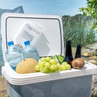 TZS First Austria K&uuml;hlbox 32 Liter, Fassungsverm&ouml;gen 25 Liter | 12 Volt & 230 Volt  elektrisch | Gro&szlig;e mobile K&uuml;hltruhe f&uuml;r Auto, LKW | K&auml;ltebox f&uuml;r Camping, Festivals & Reisen | mit Warmhaltefunktion