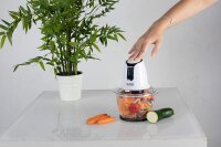 TZS First Austria Zerkleinerer, K&uuml;chenhilfe zum Zerkleinern, Schneiden & Mixen, inkl. 1,2 L Glasbeh&auml;lter und 4 Klingen aus Edelstahl, 300 W / 500 W