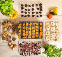 TZS First Austria Edelstahl D&ouml;rrger&auml;t | D&ouml;rrautomat | digital mit Timer bis 99 Std und Temperaturregler von 35-70&deg;Celcius, D&ouml;rrautomat, 5 Etagen, BPA Frei, D&ouml;rrautomat D&ouml;rrger&auml;t eckig Obst-trockner D&ouml;rrapparat mit Zeitschaltuhr