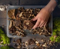 TZS First Austria Edelstahl D&ouml;rrger&auml;t, D&ouml;rrautomat, digital mit Timer und Temperaturregler, 5 Etagen, BPA Frei, D&ouml;rrautomat D&ouml;rrger&auml;t eckig Obst-trockner D&ouml;rrapparat mit Zeitschaltuhr