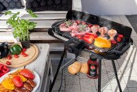 TZS First Austria Standgriller, 2000 Watt Elektrogrill mit Temperaturregler und W&auml;rmereflektor Gartengrill mit Standf&uuml;&szlig;en Grillfl&auml;che: 45cm x 22cm Inklusive Windfang Barbecue Elektrisch BBQ Tischgrill