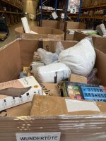 Ungepr&uuml;fte Kundenretoure WTC-Paletten von DS